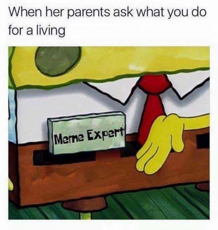 Meme expert